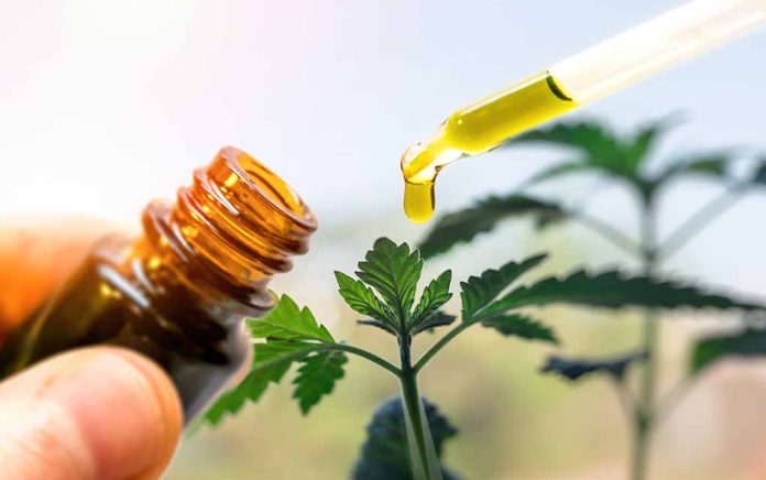 CBD-vs-THC-The-Molecular-Difference-You-Need-to-Understand