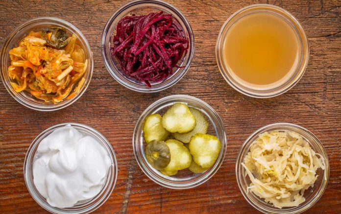 Bacteria-That-Are-Good-for-Your-Body Bacteria That Are Good for Your Body!