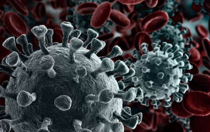 What-You-Need-To-Know-About-Coronavirus-Disease-2019 Coronavirus Disease 2019: Important Updates