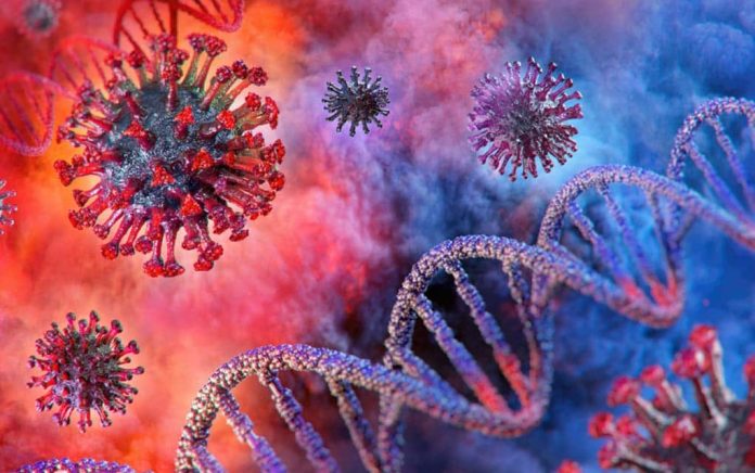 3-Things-You-Need-to-Know-About-the-Coronavirus 3 Things You Need to Know About the Coronavirus