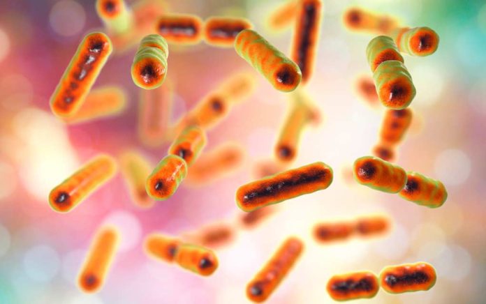 What Your Microbiome Says About Your Age