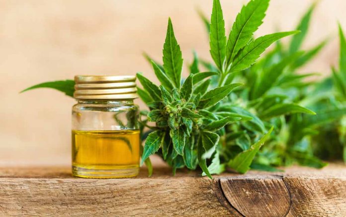5-Myths-About-CBD-Oil 5 Myths About CBD Oil