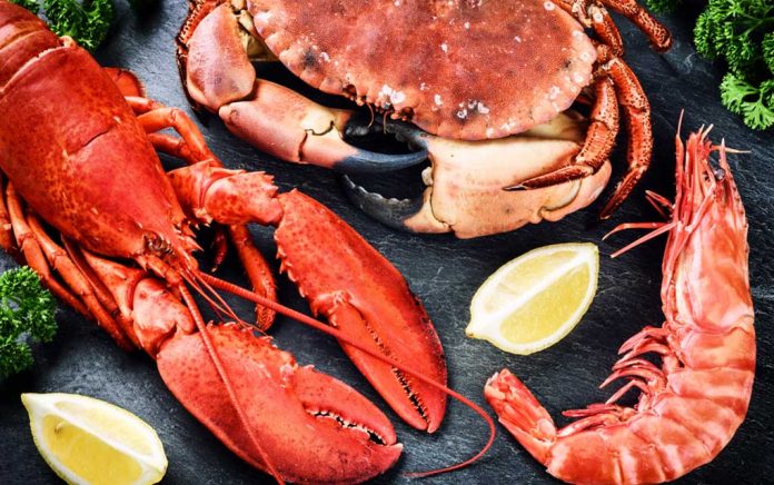 Is-Shellfish-Healthy-Benefits-and-Risks Is Shellfish Healthy? Benefits and Risks